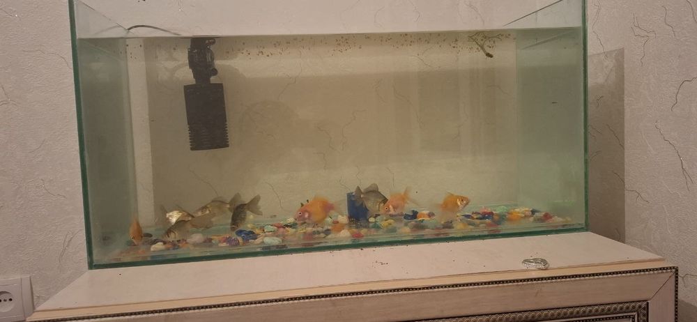 Аквариум сатылады