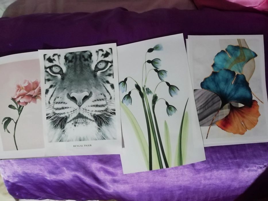 Продам картины на холсте