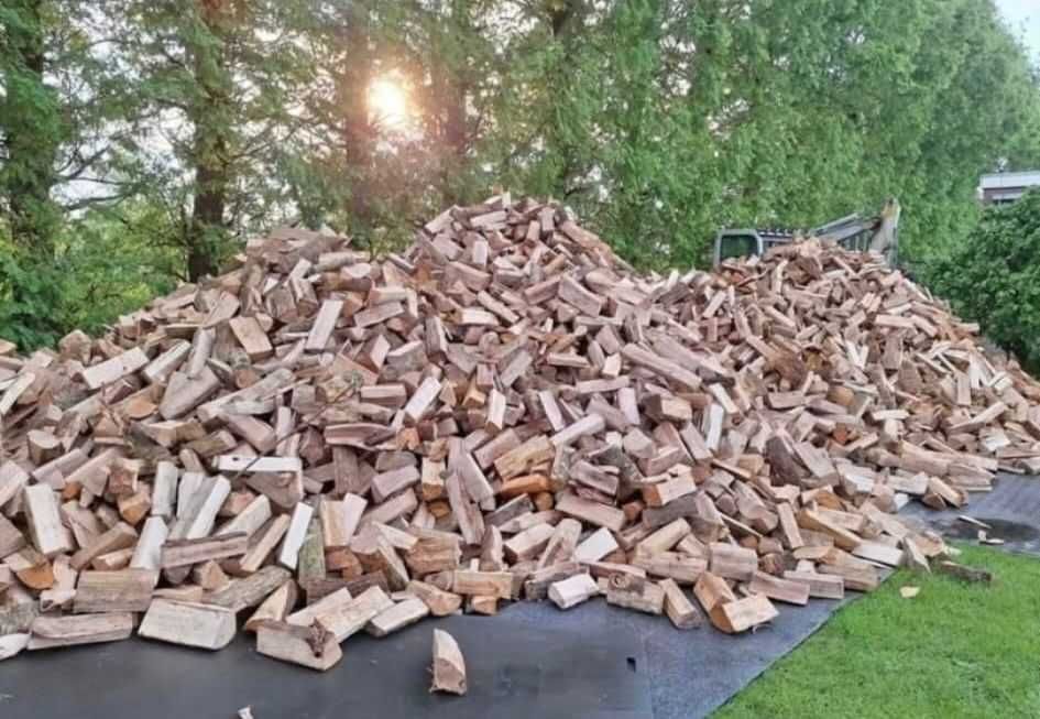 Lemne uscate de fag, ideale pentru încălzire!
