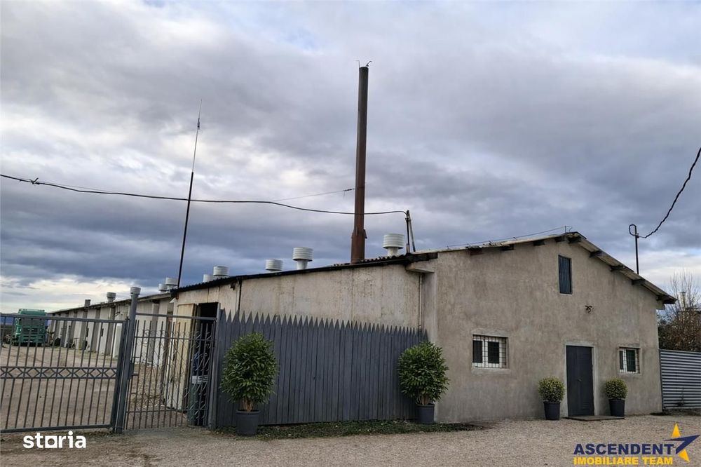 Hala industriala versatila,spatii cazare, platforma betonata,2.300 mp,