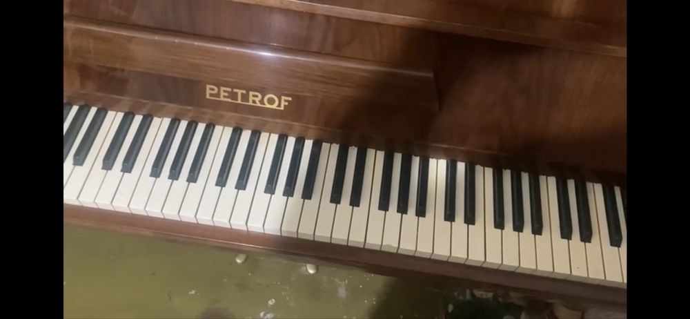 Фортепиано Petrof