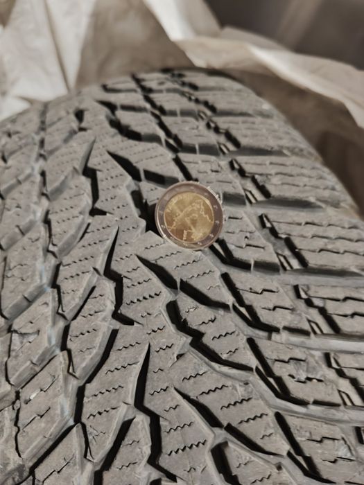 Зимни гуми Nokian WR Snowproof 205/60/16