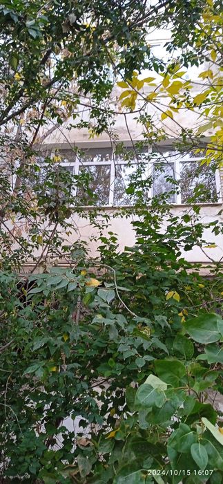 Окна двери витраж