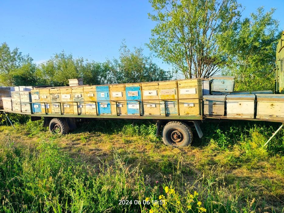Продам прицеп с пчелосемьями