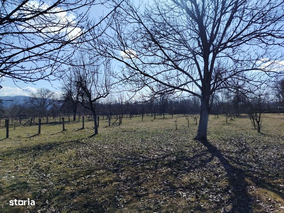 teren munte - Domnesti Arges , 25km de C. de Ag