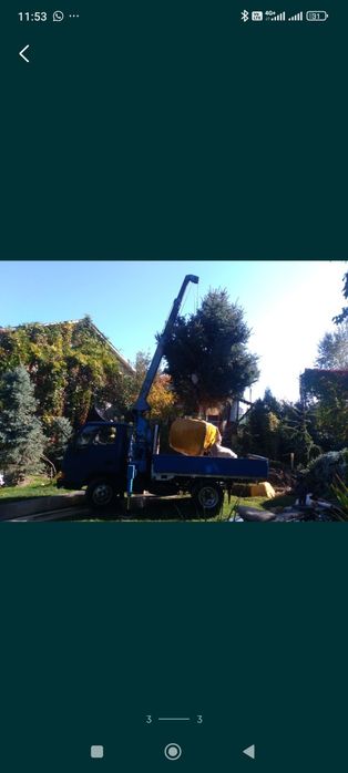 Услуги Манипулятора Маленький