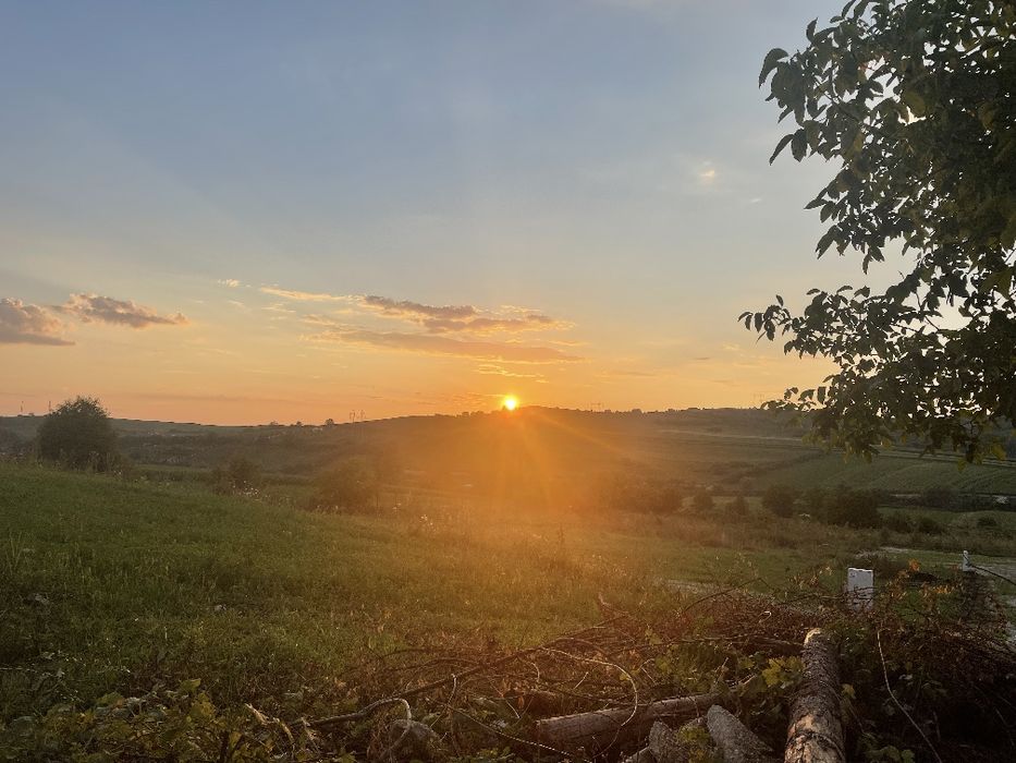 Teren Hamba, Sibiu