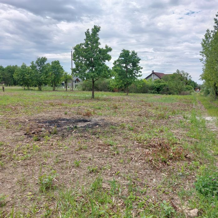 Două parcele teren 1000mp/975mp în Tăuții-Măgherăuș strada 6