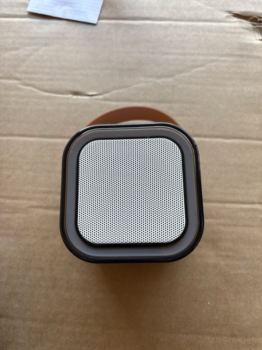 Sistem karaoke portabil cu boxa si 2 microfoane wireless