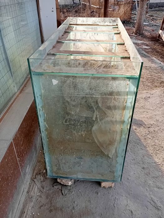 Прадайотса аквариум 1 тона