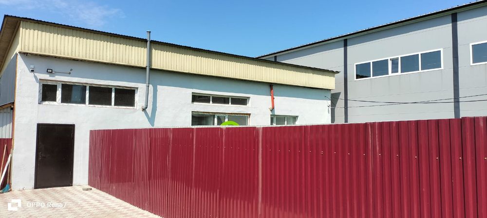 Аренда спротзала