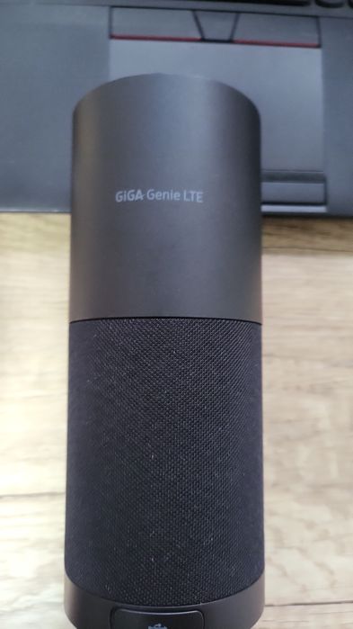 Умная колонка GIGA Genie