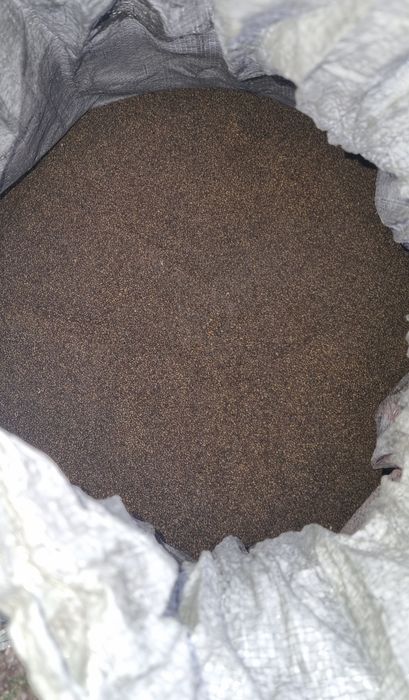 Семена люцерны сорт семиреченский