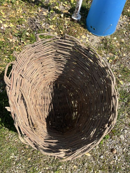 Стара Кошница два броя