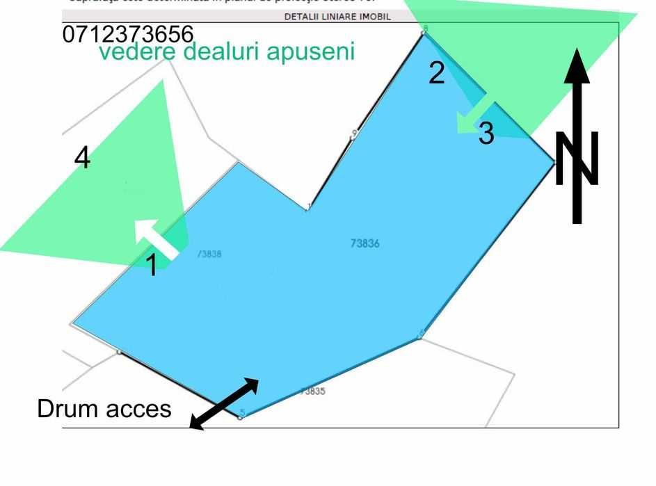 Teren Apuseni cota  1000m,