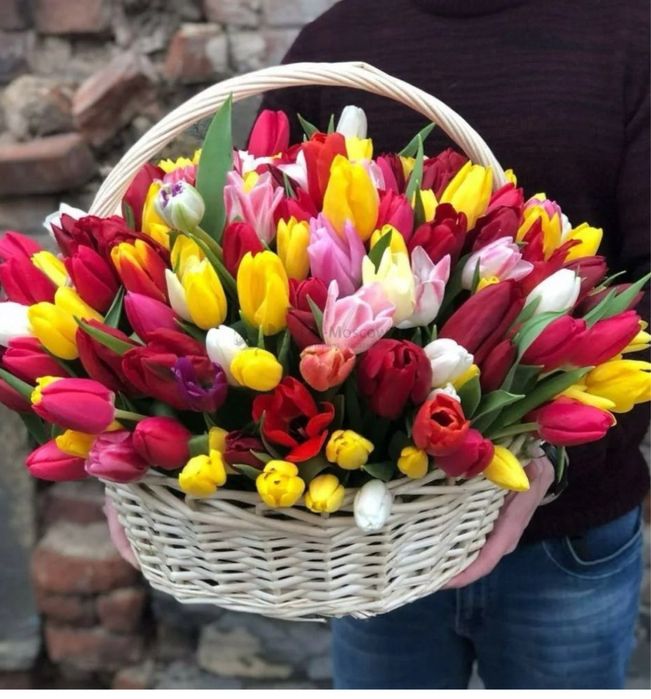 Тюльпаны, предзаказ