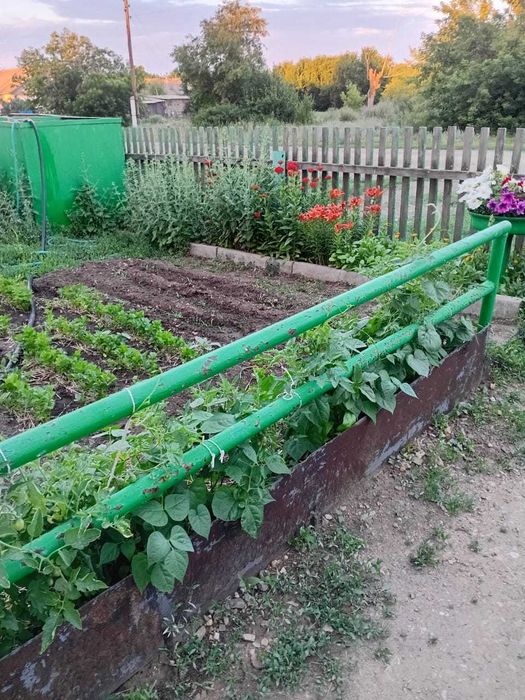 Продам дом-усадьбу
