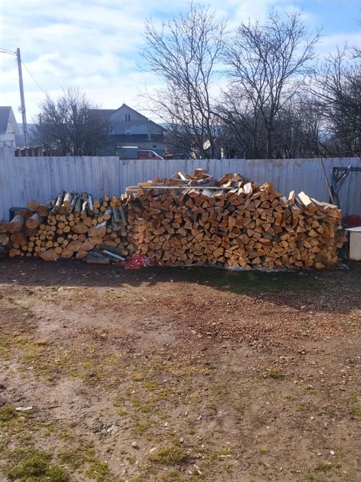 Vind lemn  pentru foc doar fag curat calitate foarte buna lemn de pri