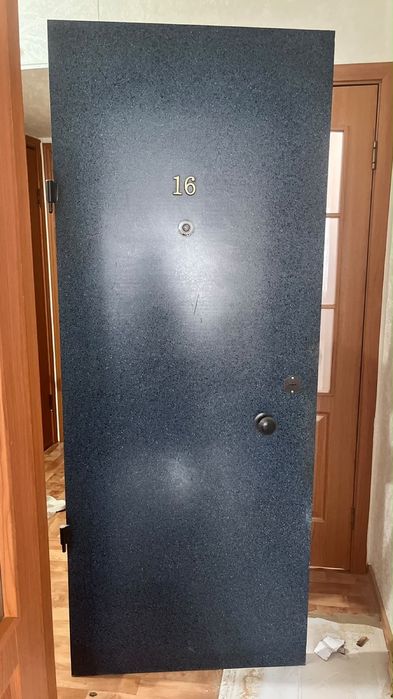 Входной дверь двойной