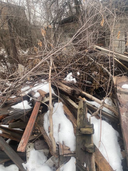 Отдам дрова бесплатно