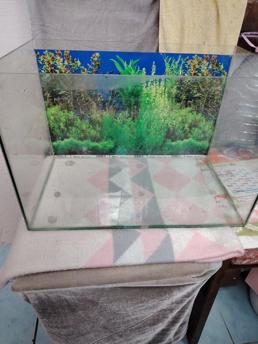 Acvariu 10 litri+corabie