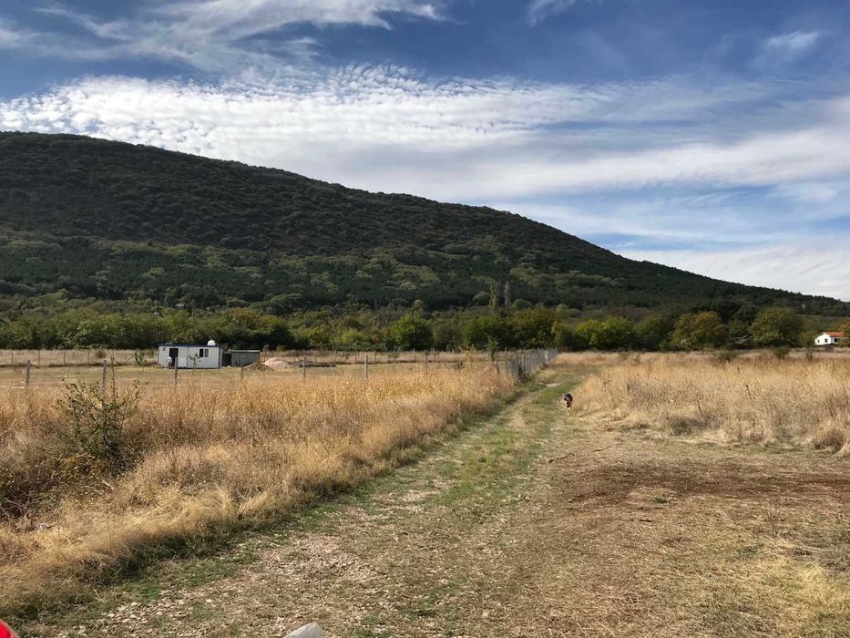 Продава се Земеделски имот в Асеновград -  кв.м за 9999 €/дка - Снимка #3