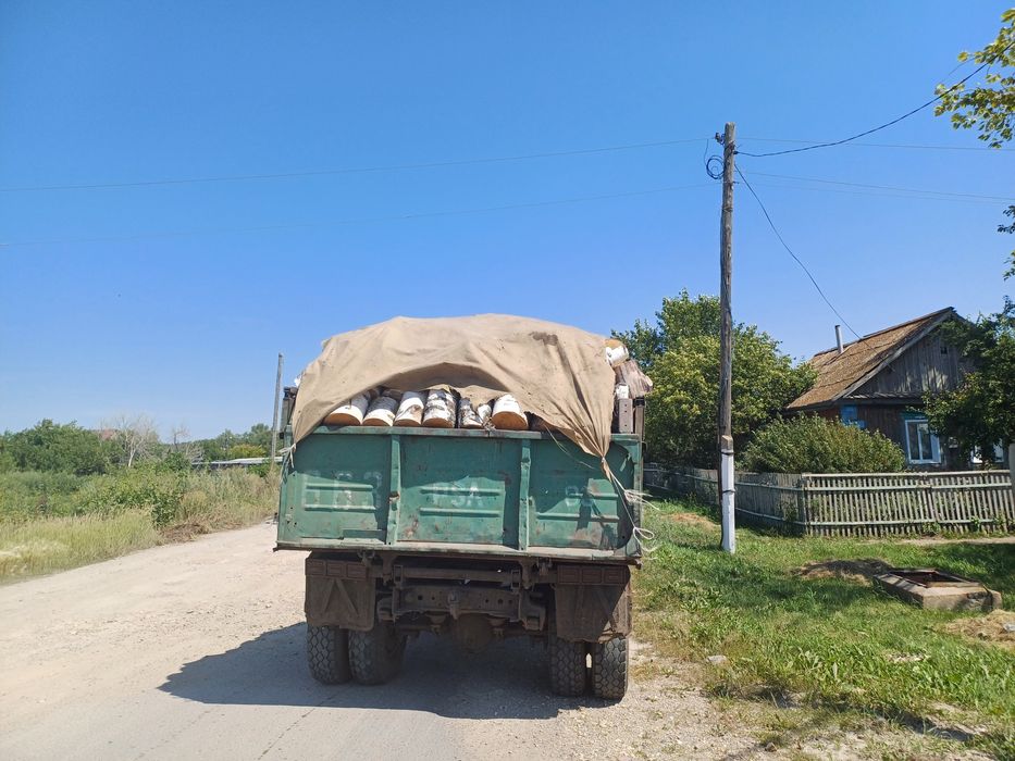 Есть рублейный береза