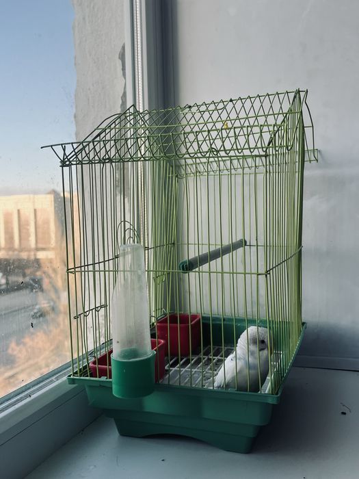 Клетка для попугая