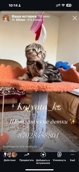 Шикарные мрамора с документами