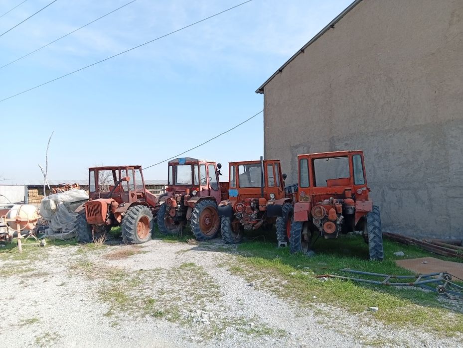 Трактор Т-16 на ходу