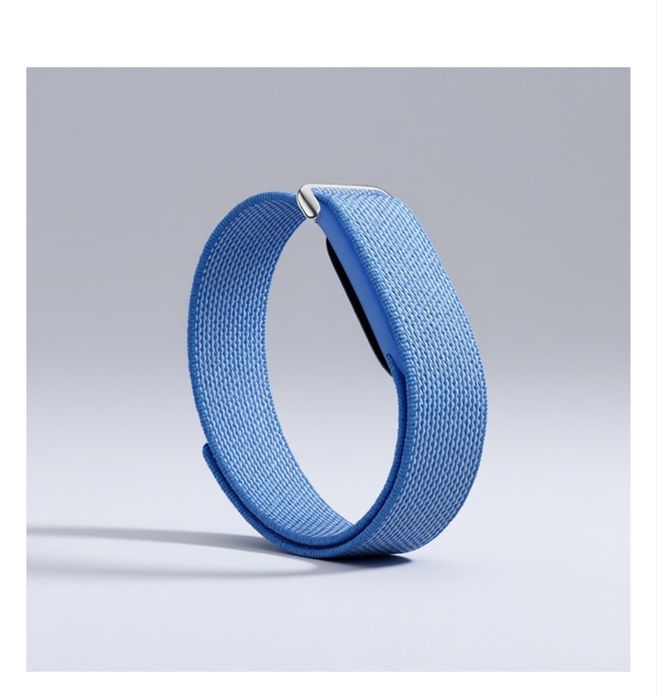 Google Fitbit air