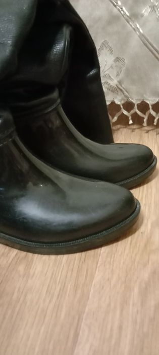 Продам демисезонные ботфорды