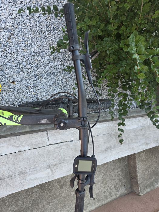 Bicicleta Apolon pro, 29", negru-verde