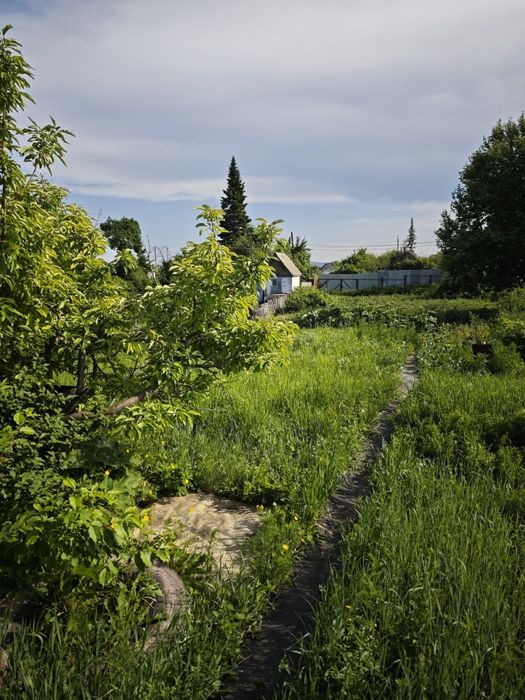 Продам дачу в новой бухтарме
