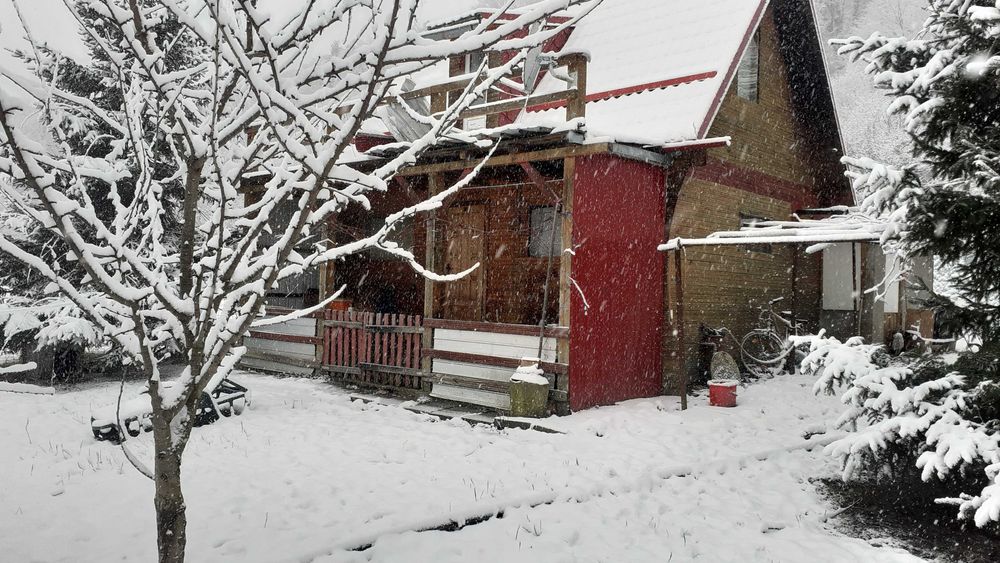 casă  teren  2800 mp Poiana Sărată