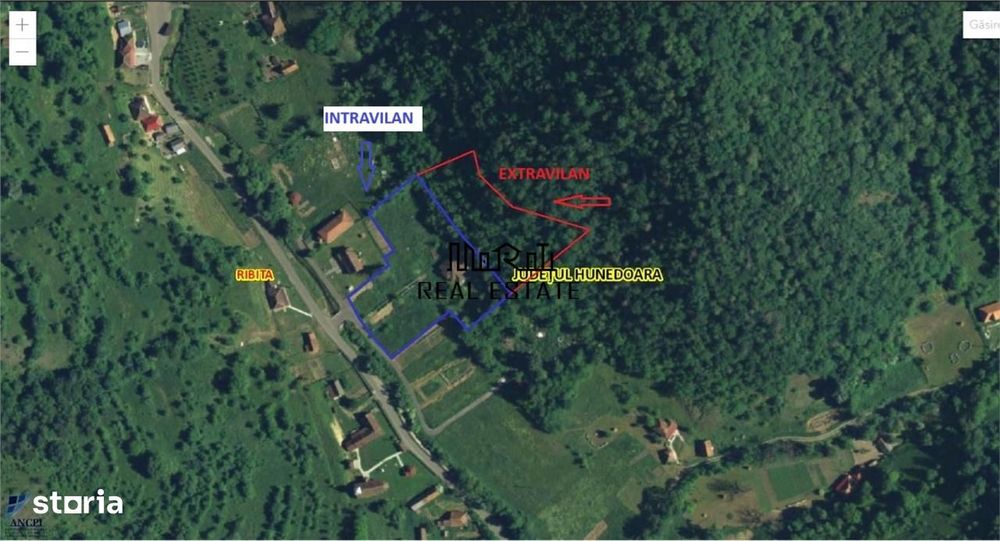 Teren, padure si casa in Dumbrava de Jos, jud. Hunedoara