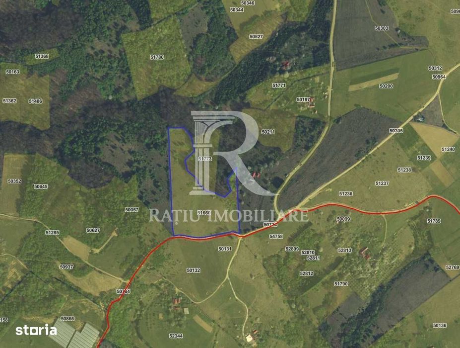 Teren de vânzare | 30500 mp | Priveliște superba | Sinteu | Bihor