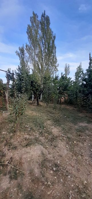 Йер сотлади нархи