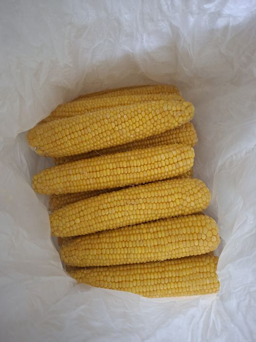 Кукуруза оптом Актобе