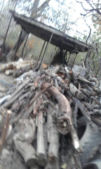 Дрова фруктовые деревья ,тополя