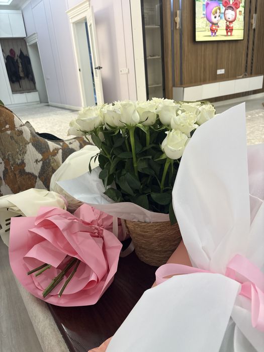 цветы.    жаңа гүлдер