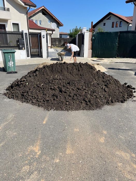 Pamant negru vegetal
