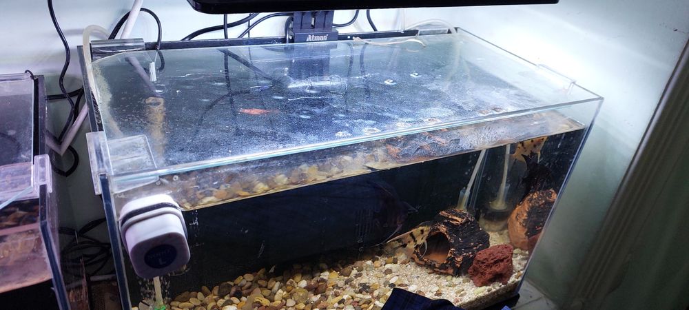 Продаются аквариумы.