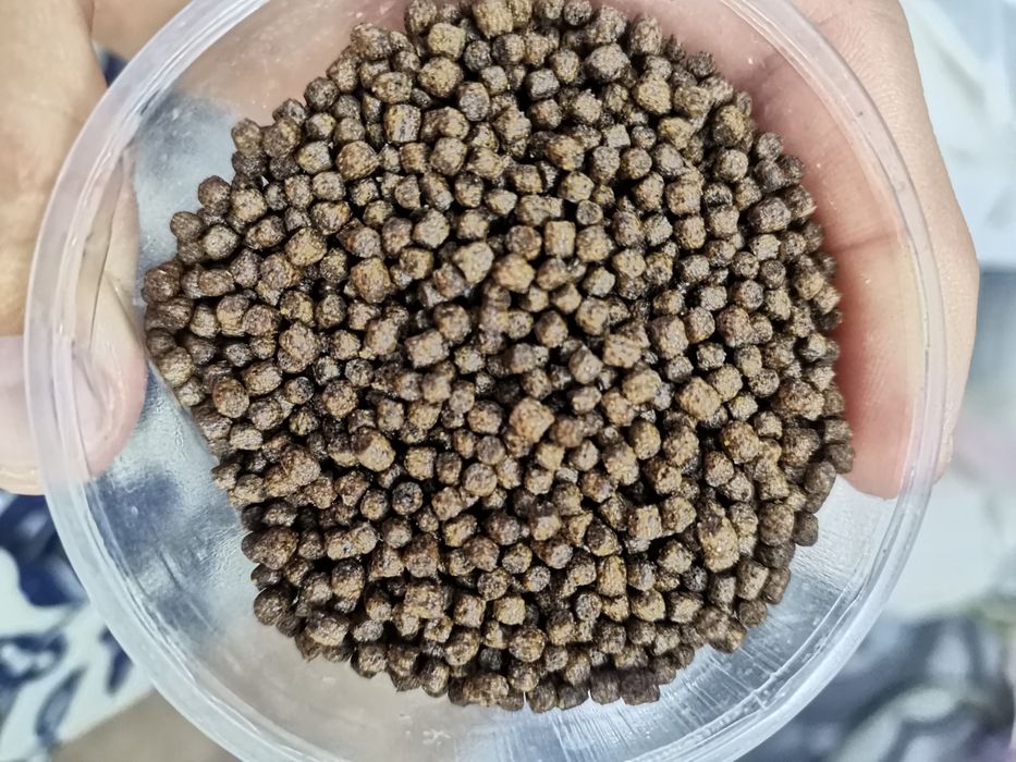 Granule plutitoare pesti 2,5 mm