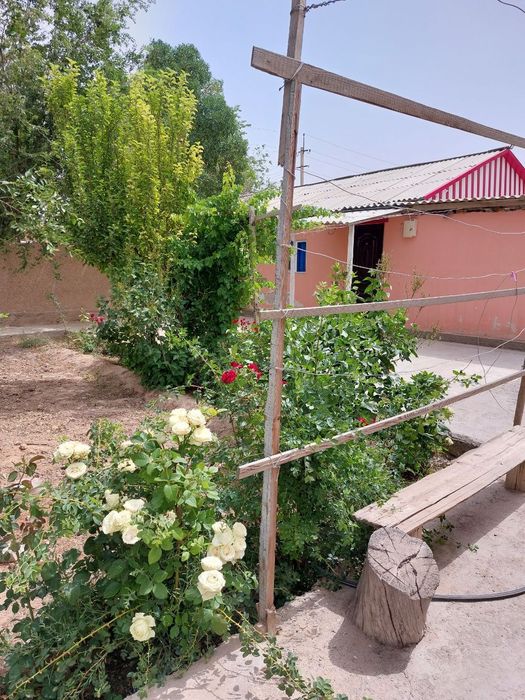 Дом, 16сотх с двором