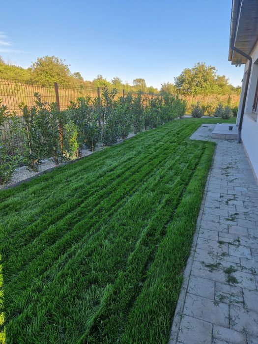 Amenajări & Întreținere Grădini Craiova, Gazon,Sisteme irigatii