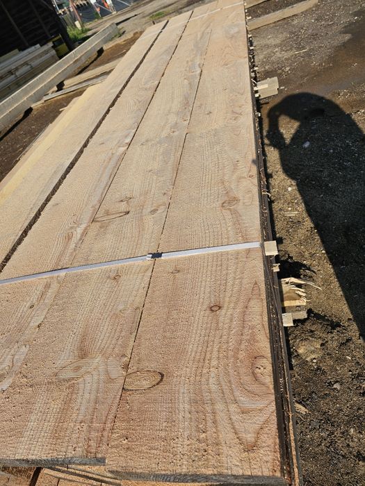 Bustean LARICE  de vanzare