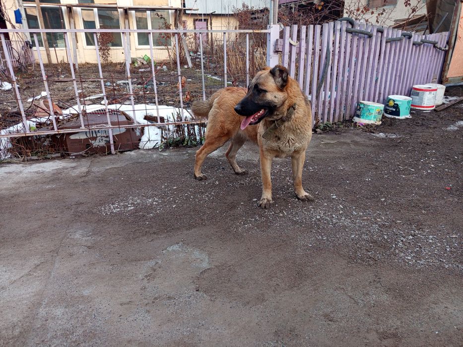 Девочка тобета 8 месяцев