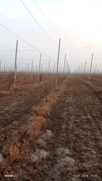 Бетонный стойки-Шпалера.Узумзор,богзор, ограждения учун 4.30м