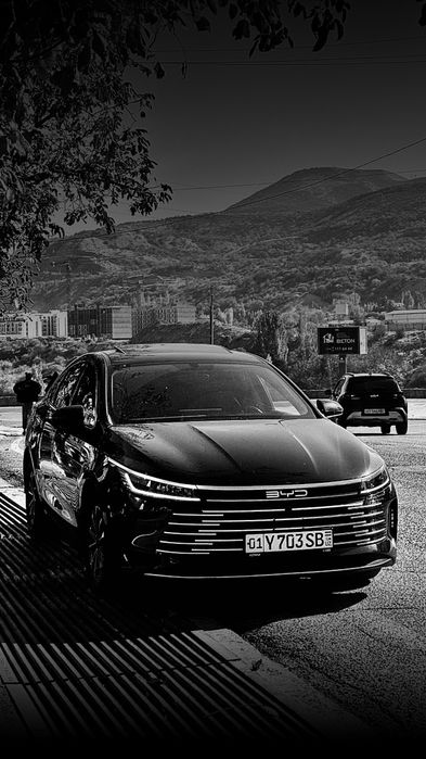 BYD CHAZOR 2 DMI55 с люком